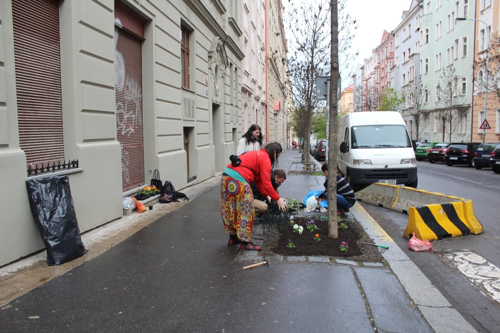 Spolek Street Gardening společně s místními občany vytváří krásné malé zahrádky uprostřed ulic. Tato vznikla ve středu v Kubelíkově ulici na Žižkově