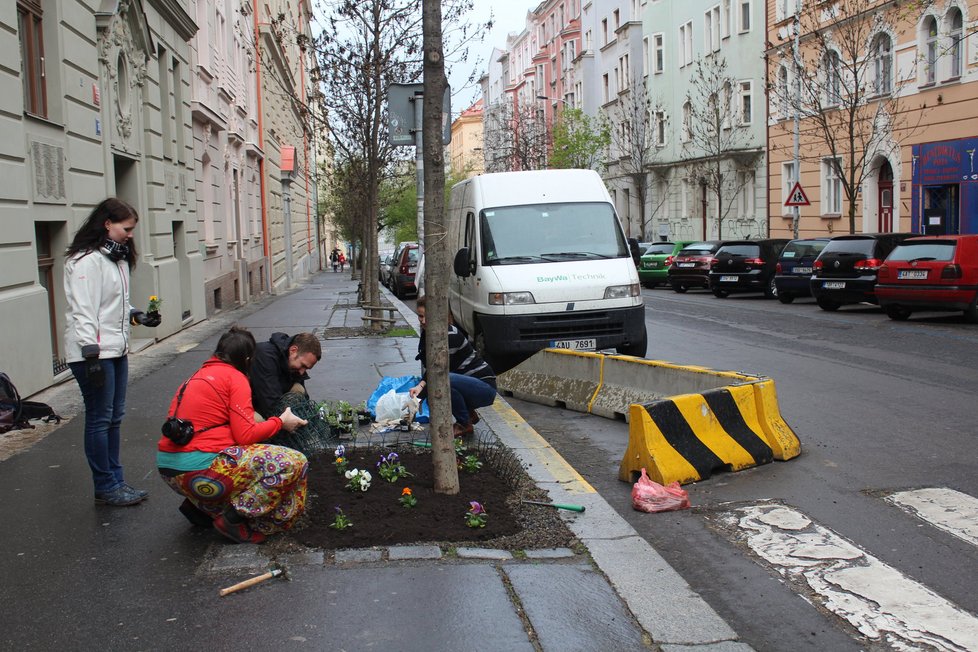 Spolek Street Gardening společně s místními občany vytváří krásné malé zahrádky uprostřed ulic. Tato vznikla ve středu v Kubelíkově ulici na Žižkově