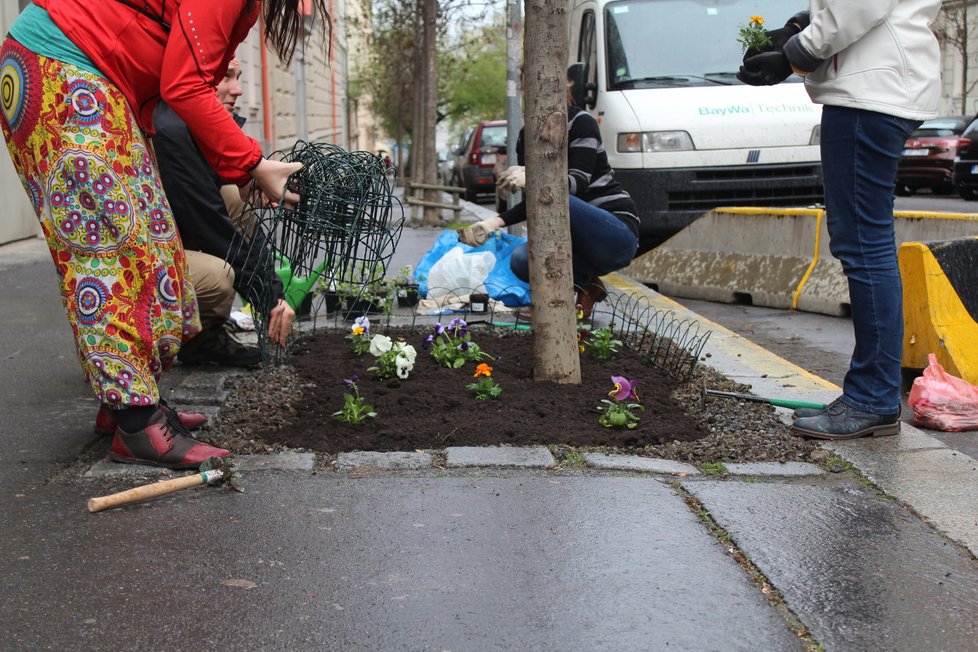 Spolek Street Gardening společně s místními občany vytváří krásné malé zahrádky uprostřed ulic. Tato vznikla ve středu v Kubelíkově ulici na Žižkově