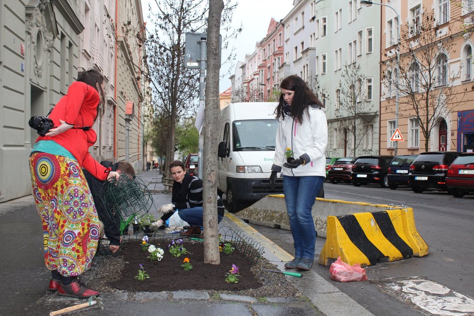 Spolek Street Gardening společně s místními občany vytváří krásné malé zahrádky uprostřed ulic. Tato vznikla ve středu v Kubelíkově ulici na Žižkově