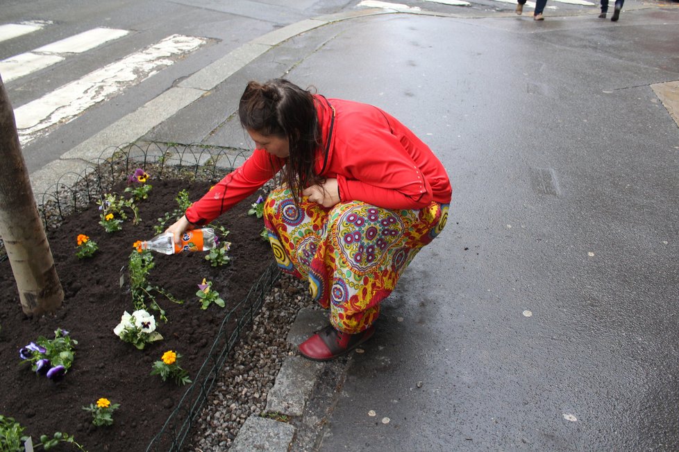 Spolek Street Gardening společně s místními občany vytváří krásné malé zahrádky uprostřed ulic. Tato vznikla ve středu v Kubelíkově ulici na Žižkově.