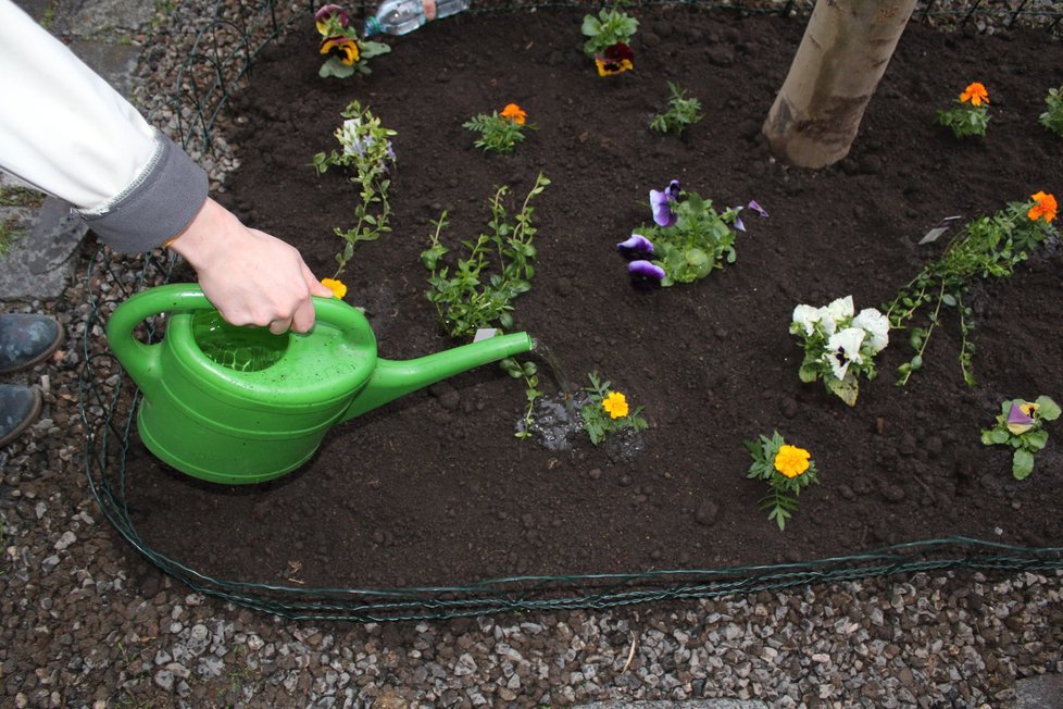 Spolek Street Gardening společně s místními občany vytváří krásné malé zahrádky uprostřed ulic. Tato vznikla ve středu v Kubelíkově ulici na Žižkově.