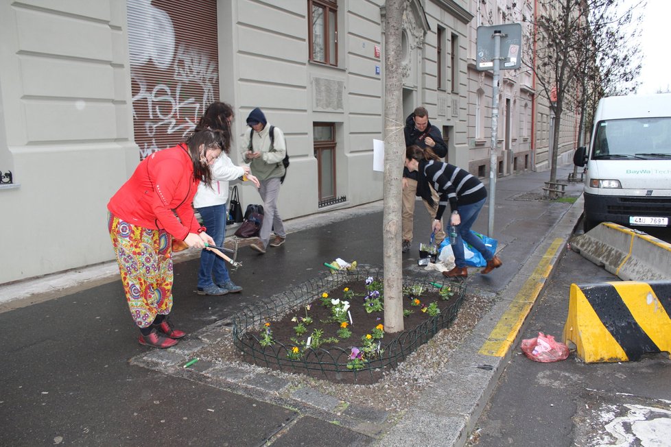 Spolek Street Gardening společně s místními občany vytváří krásné malé zahrádky uprostřed ulic. Tato vznikla ve středu v Kubelíkově ulici na Žižkově