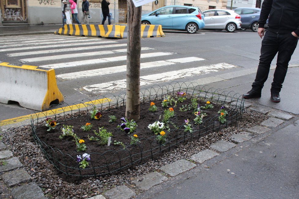 Spolek Street Gardening společně s místními občany vytváří krásné malé zahrádky uprostřed ulic. Tato vznikla ve středu v Kubelíkově ulici na Žižkově