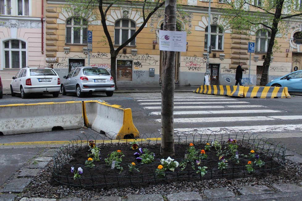 Spolek Street Gardening společně s místními občany vytváří krásné malé zahrádky uprostřed ulic. Tato vznikla ve středu v Kubelíkově ulici na Žižkově.