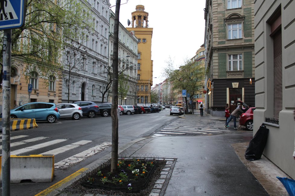 Spolek Street Gardening společně s místními občany vytváří krásné malé zahrádky uprostřed ulic. Tato vznikla ve středu v Kubelíkově ulici na Žižkově.