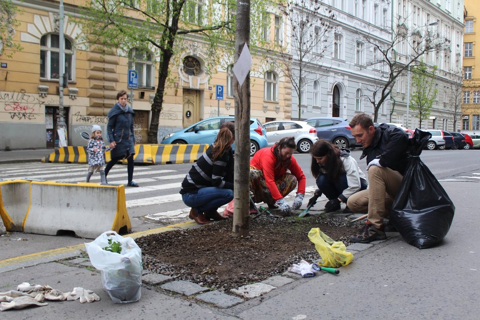 Spolek Street Gardening společně s místními občany vytváří krásné malé zahrádky uprostřed ulic. Tato vznikla ve středu v Kubelíkově ulici na Žižkově