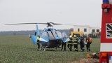 Obrovské neštěstí u Prahy: Na muže (81) spadl při kácení strom! Vrtulník ho přepravil do nemocnice
