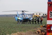 Obrovské neštěstí u Prahy: Na muže (81) spadl při kácení strom! Vrtulník ho přepravil do nemocnice