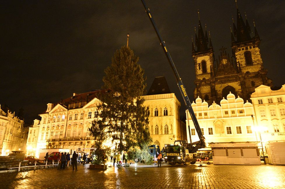 Usazení vánočního stromu na Staroměstském náměstí v Praze