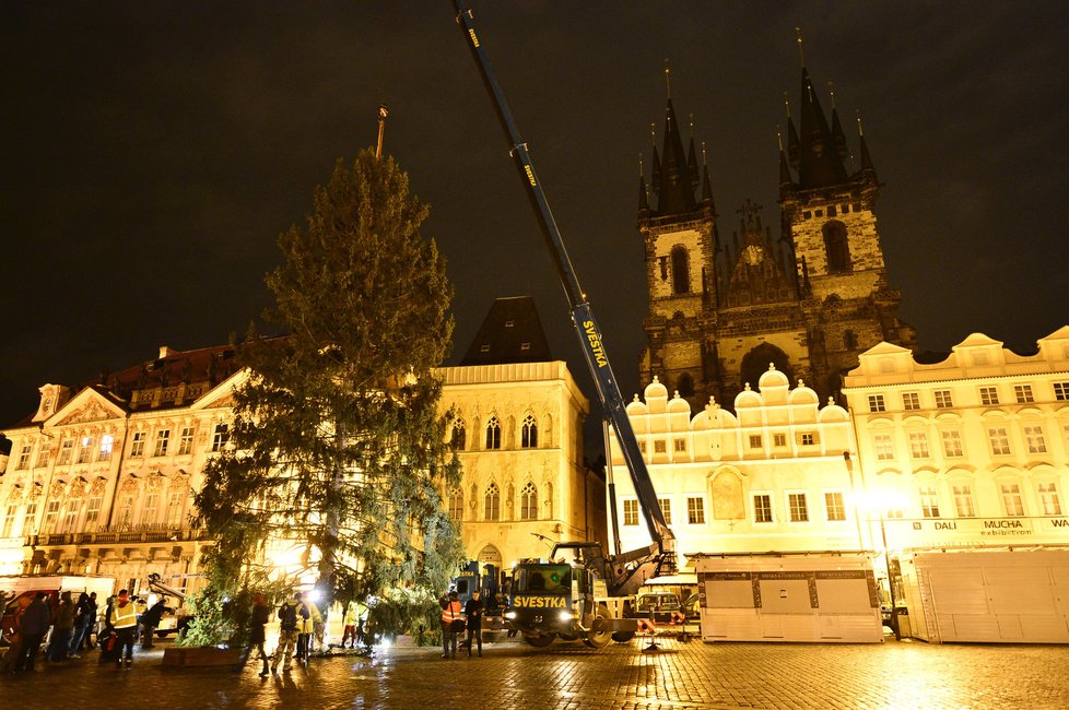 Usazení vánočního stromu na Staroměstském náměstí v Praze