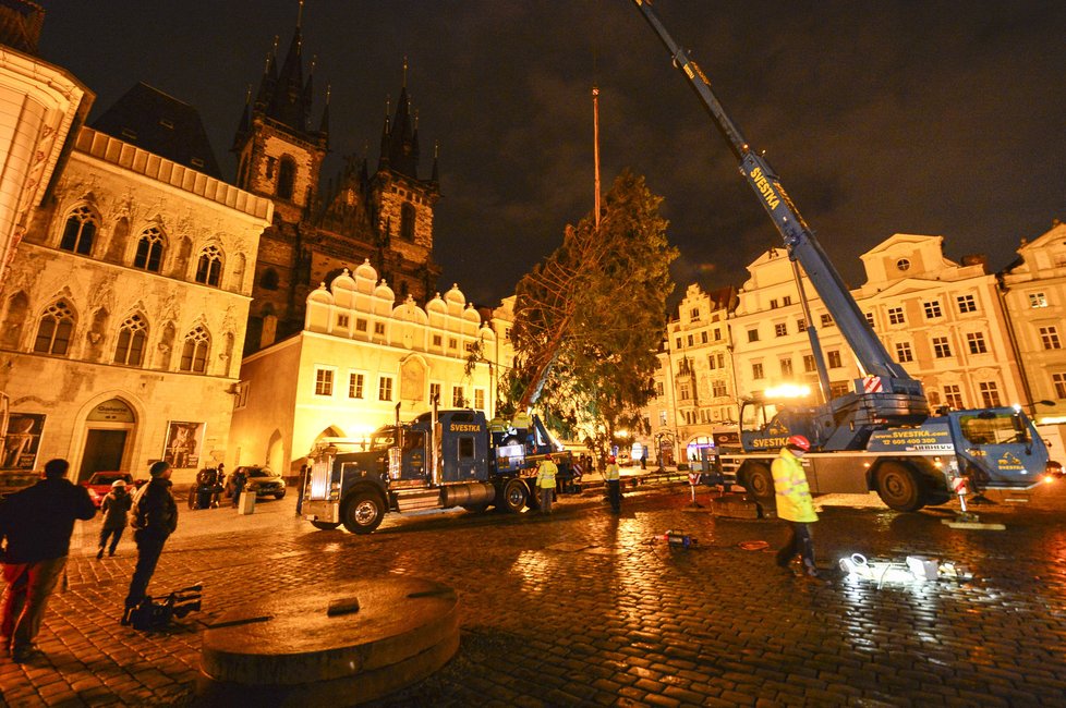 Usazení vánočního stromu na Staroměstském náměstí v Praze