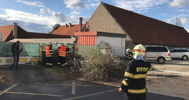 Spadlý strom u supermarketu v Hloubětíně.