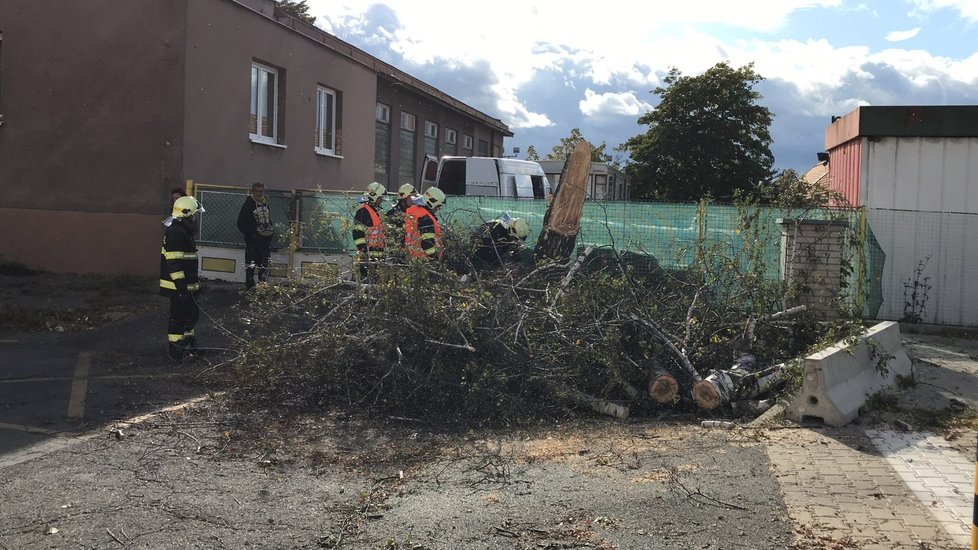 Spadlý strom u supermarketu v Hloubětíně.