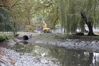 Praha letos investuje 90 milionů korun do parků: Vzniknou také dva nové rybníky
