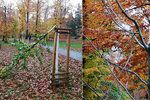 Vandalové v parku Stromovka poškodili v noci na 4. listopadu 2020 pět stromů.