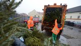 Pražské služby se chystají na Vánoce: Stromečky poslouží hned dvakrát