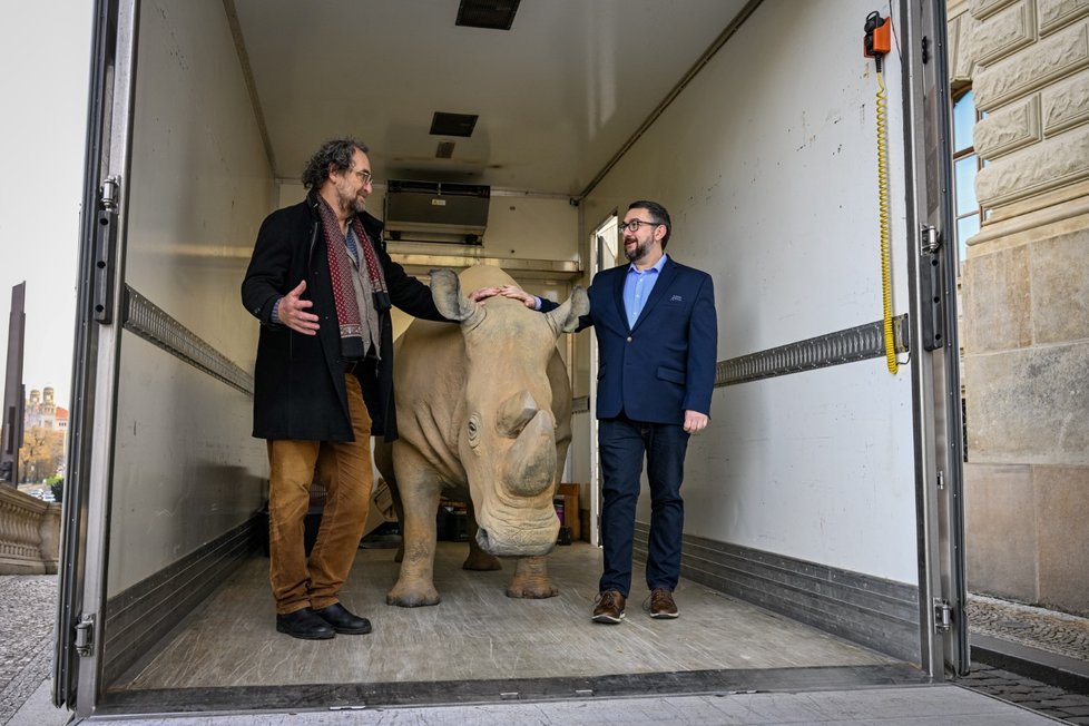 Nakládka dermoplastického preparátu posledního samce nosorožce bílého severního Sudána, který byl odvezen do Dvora Králové a poté bude transportován do Afriky, kde se stane symbolem boje za záchranu biodiverzity, 17. března 2023, Národní muzeum, Praha.