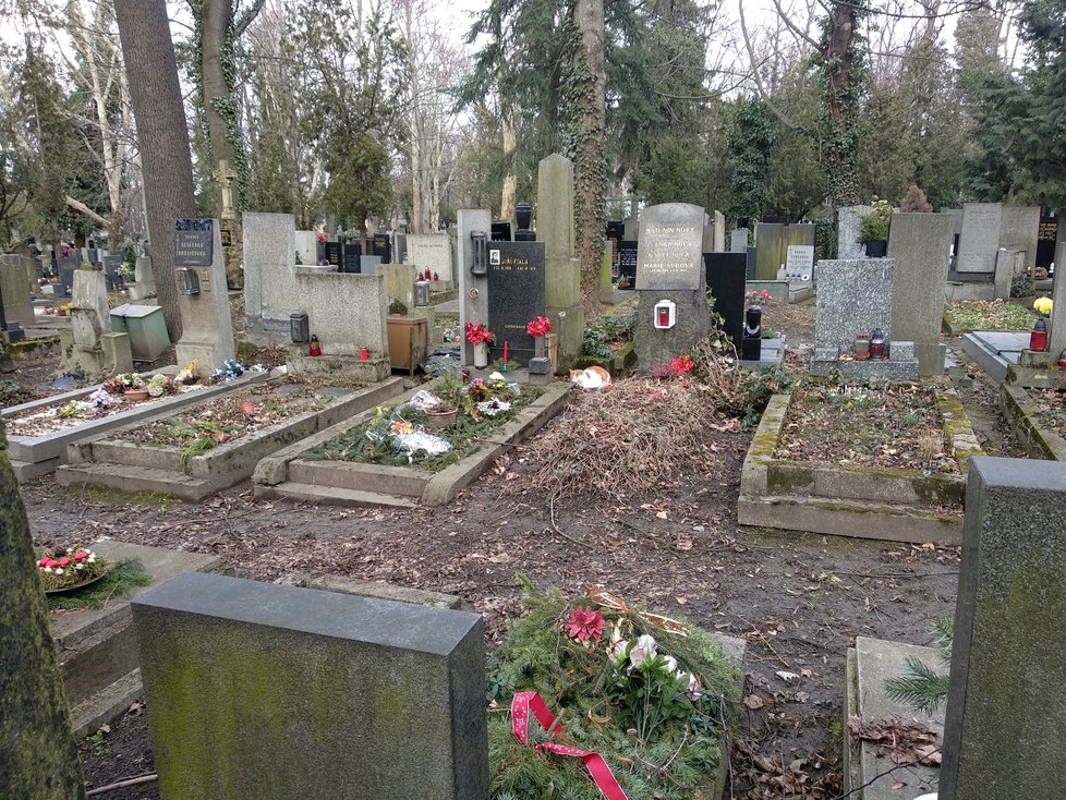 O víkendu jsme se vydali na procházku na Olšanské hřbitovy.
