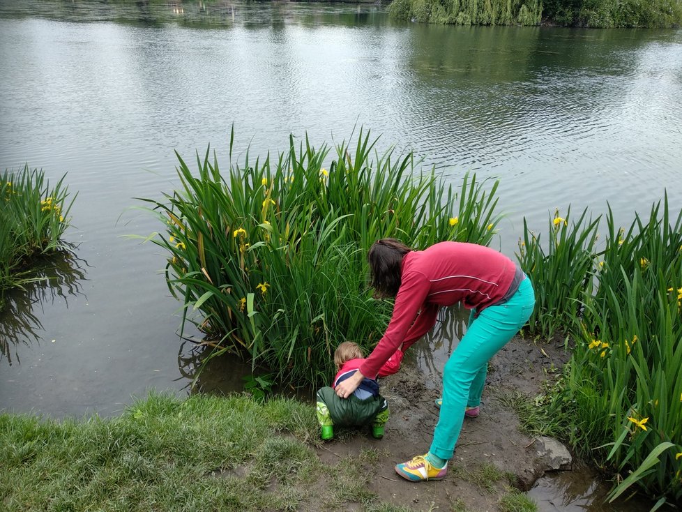 O víkendu jsme jeli na kolech k Hamerskému rybníku. Pepíno byl nadšený z vody, rodiče tolik zas ne.
