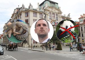 Praha se chystá uzavřít sesterskou smlouvu s městem Tchaj-Pej.