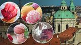 Třicítky se vrací! Kde se v Praze osvěžit nejlepší zmrzlinou? Pět NEJ