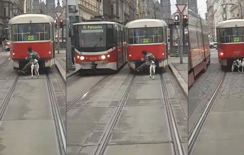 Nesmyslný hazard na kolejích: Muž v Praze vezl na tramvaj, za sebou vláčel psa!
