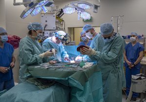 První transplantace jater od žijícího dárce dospělému příjemci proběhla v IKEM. 
