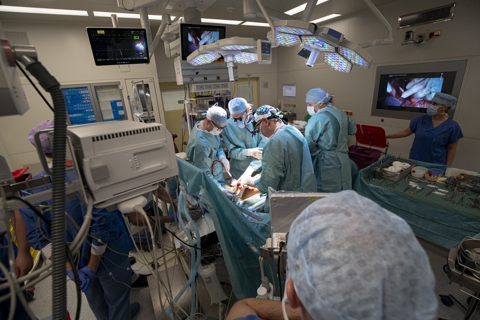 První transplantace jater od žijícího dárce dospělému příjemci proběhla v IKEM.