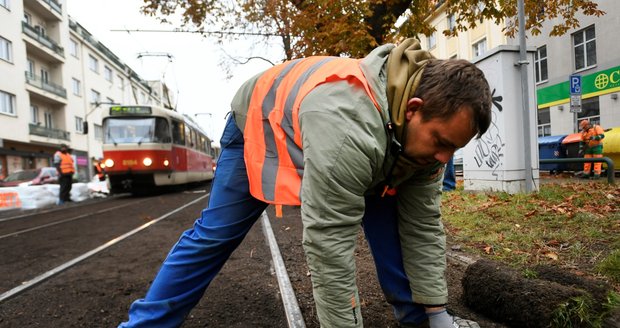 Pokládka experimentálních travních pásů do kolejiště tramvajové tratě v Bělohorské ulici, 11. listopadu 2021 v Praze.