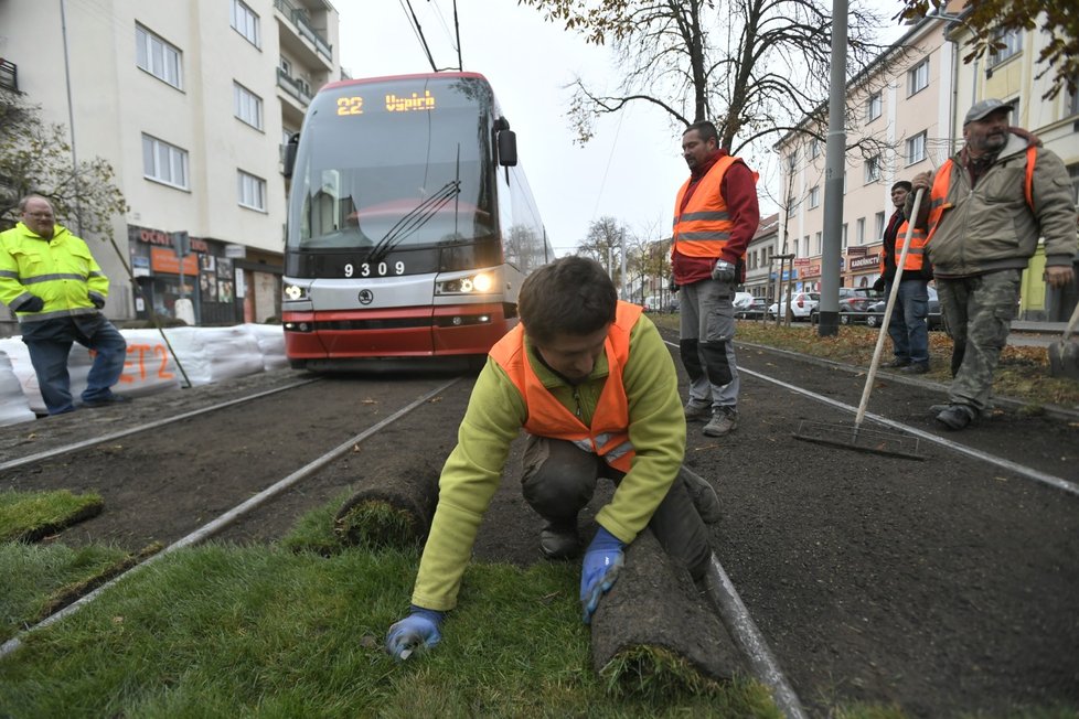 Pokládka experimentálních travních pásů do kolejiště tramvajové tratě v Bělohorské ulici, 11. listopadu 2021 v Praze.