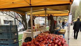 Kontroly na farmářských trzích v Praze: Jakých hříchů se dopouštějí nejčastěji?