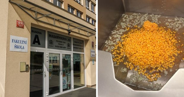 Ze starého vývaru se v jídelně v Masarykově základní škole v Újezdu nad Lesy podle kuchařky připravovala dýňová polévka.