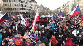 Na Václavském náměstí se shromáždil dav lidí, který protestuje proti vládním opatřením kvůli koronaviru. (17.11. 2020)