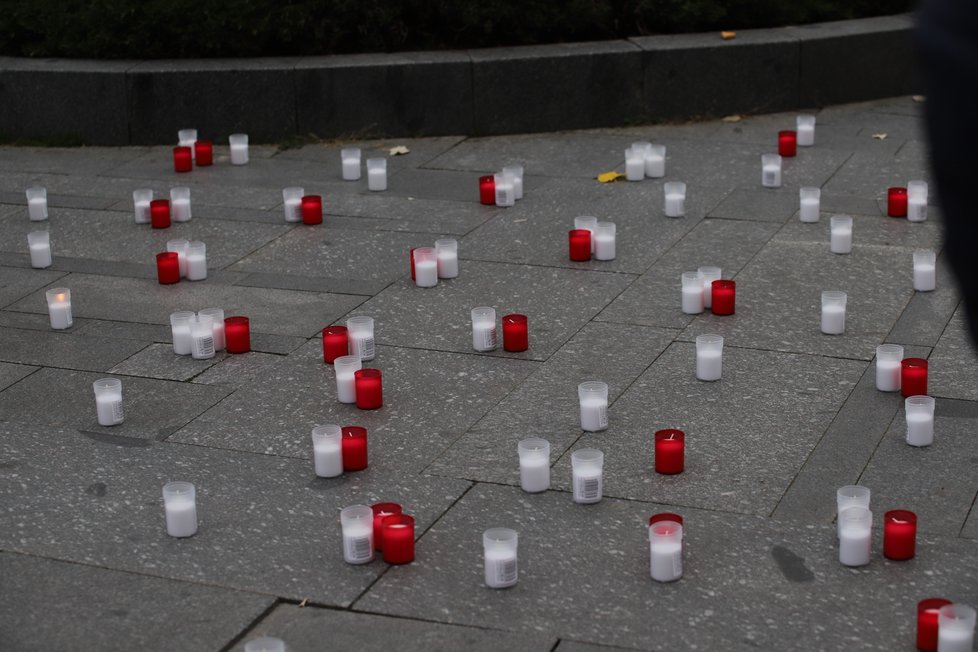 Na Václavském náměstí se sešli lidé, kteří protestovali proti vládním nařízením. (17.11. 2020)