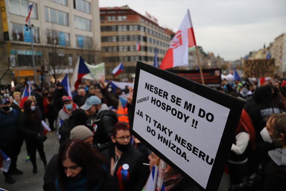 Na Václavském náměstí se sešli lidé, kteří protestovali proti vládním nařízením. (17.11. 2020)