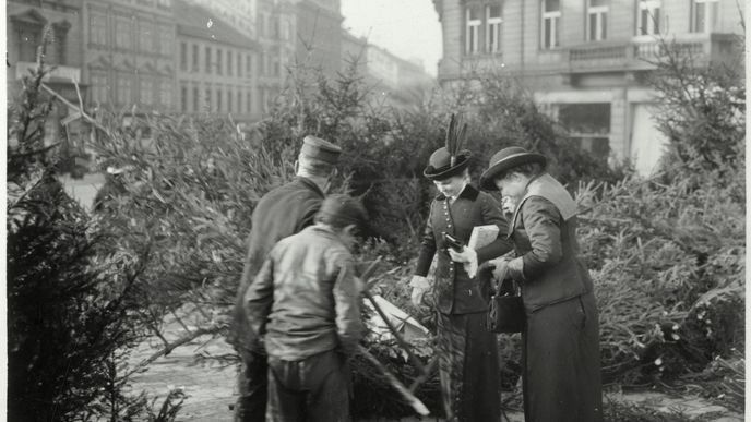 Prodej vánočních stromků na Vinohradech v roce 1913 - ilustrační snímek.