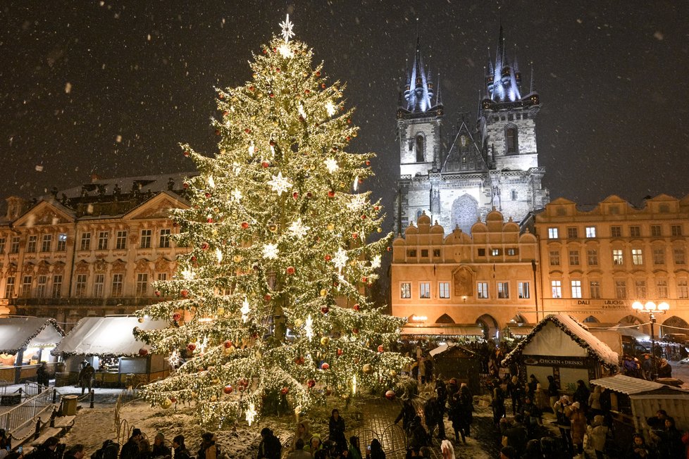 Vánoční strom v Praze na Staroměstském náměstí.