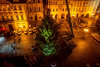 Už stojí! Na Staroměstském náměstí v noci vztyčili nejslavnější vánoční strom Česka