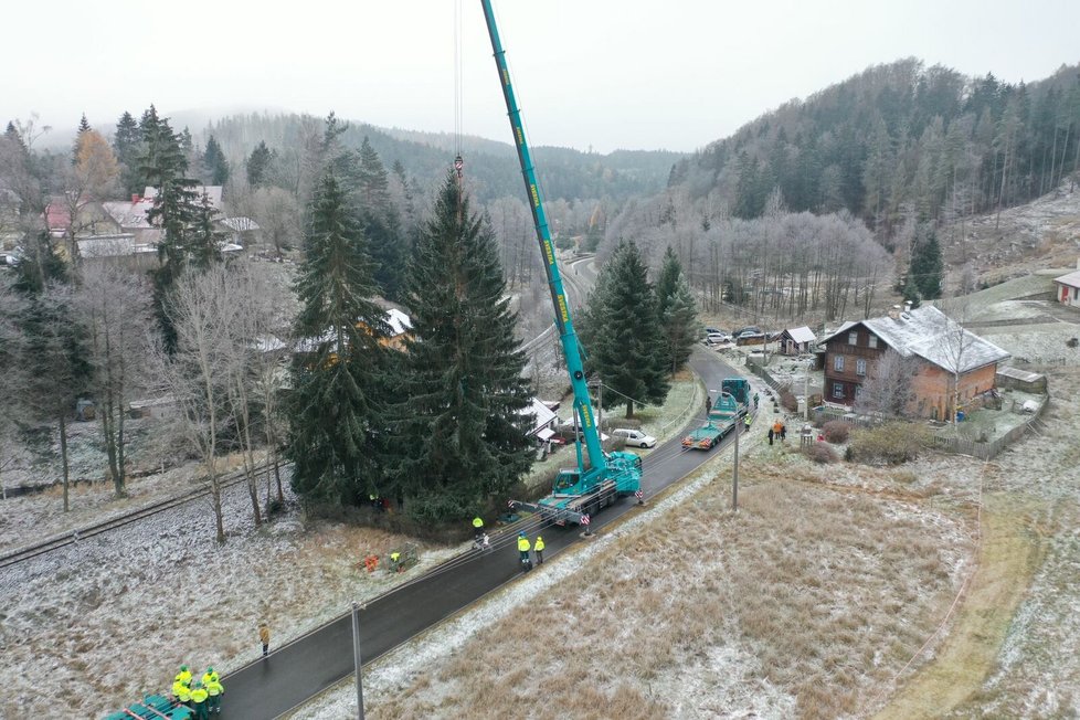 Kácení vánočního stromu pro Prahu (20. listopadu 2022).