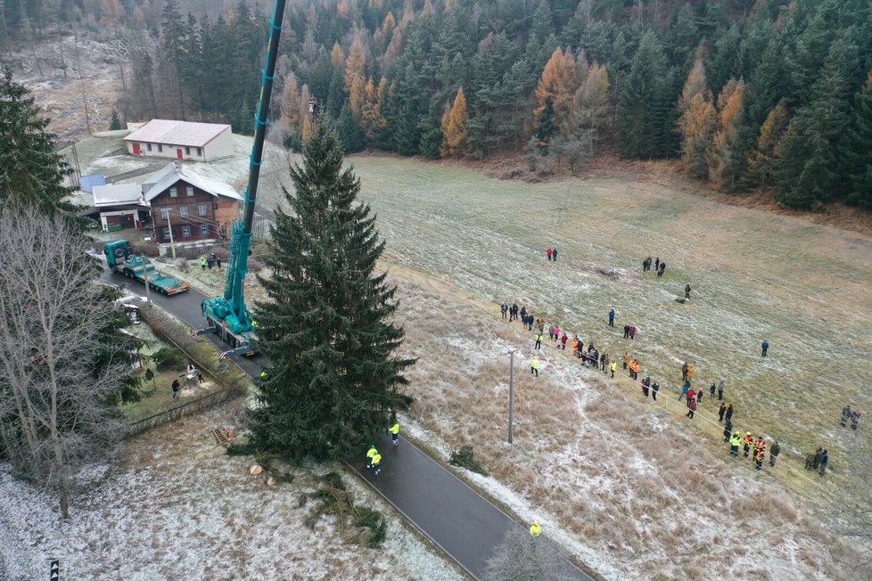 Kácení vánočního stromu pro Prahu (20. listopadu 2022).
