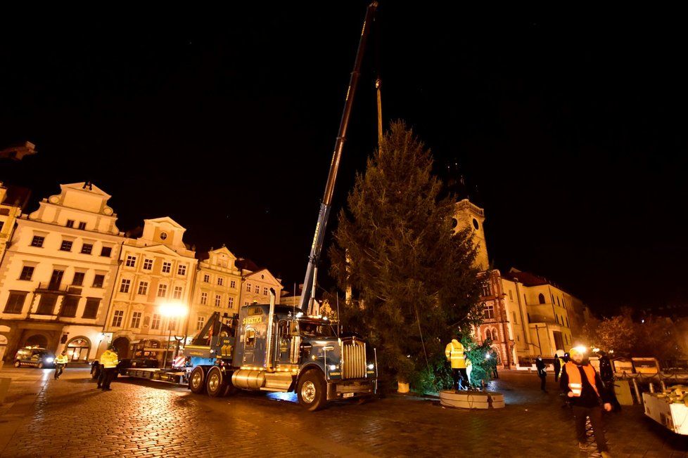 Vánoční strom na Staroměstském náměstí se vztyčil v úterý 24. listopadu 2020.