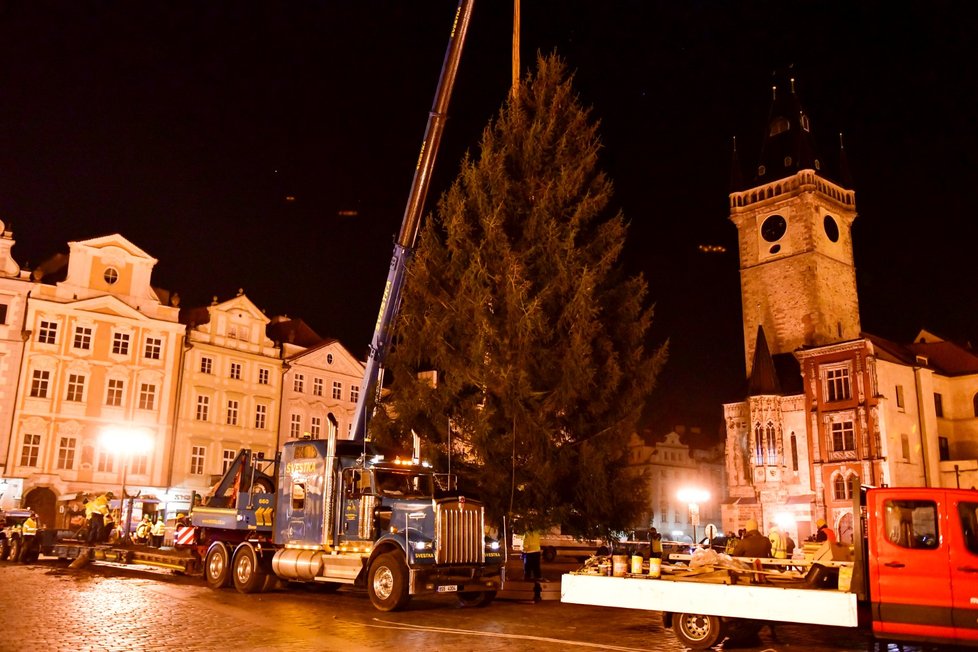 Vánoční strom na Staroměstském náměstí se vztyčil v úterý 24. listopadu 2020.