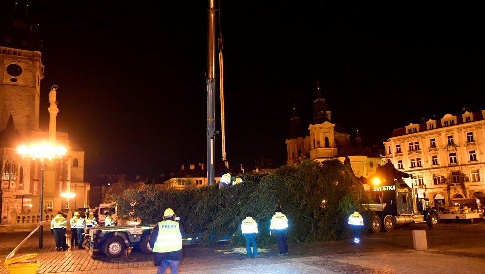 Vánoční strom na Staroměstském náměstí se vztyčil v úterý 24. listopadu 2020.