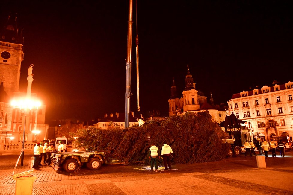 Vánoční strom na Staroměstském náměstí se vztyčil v úterý 24. listopadu 2020.