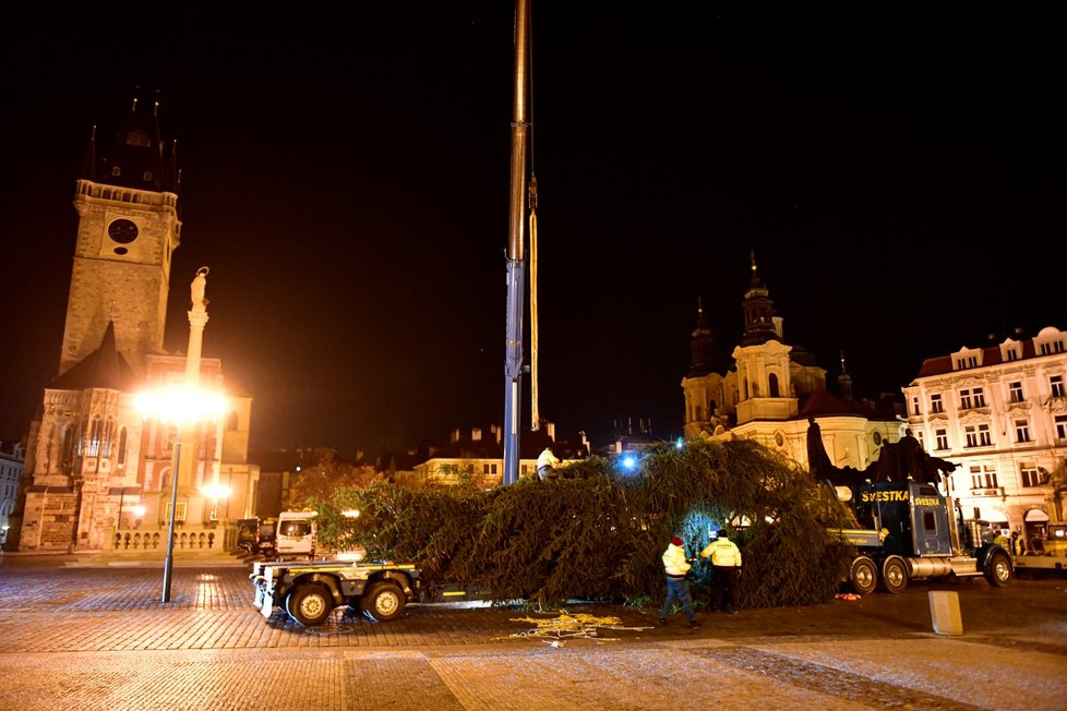 Vánoční strom na Staroměstském náměstí se vztyčil v úterý 24. listopadu 2020.