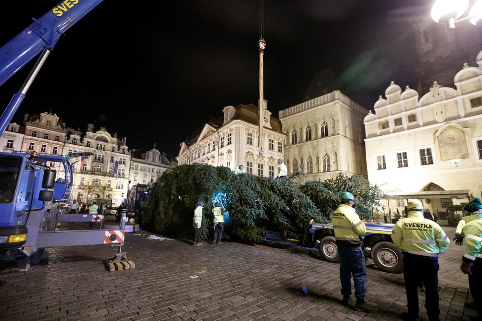 Vánoční strom na Staroměstském náměstí se vztyčil v úterý 24. listopadu 2020.