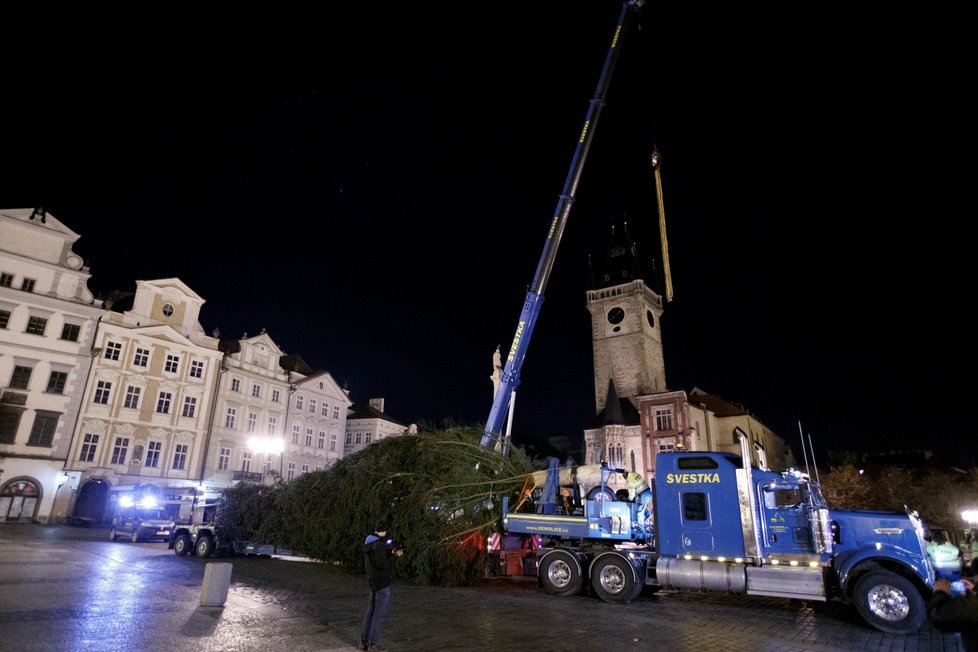 Vánoční strom na Staroměstském náměstí se vztyčil v úterý 24. listopadu 2020.