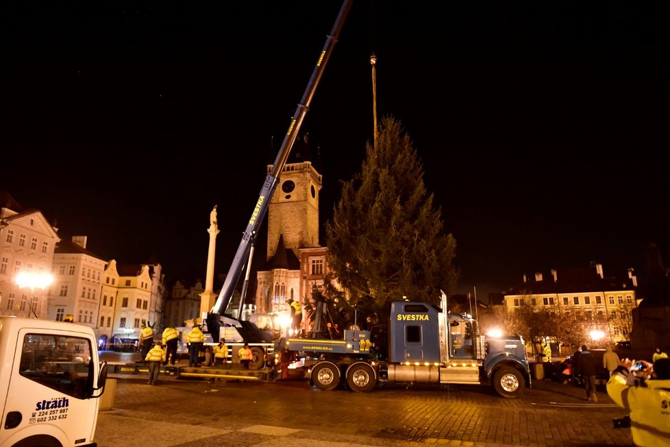 Vánoční strom na Staroměstském náměstí se vztyčil v úterý 24. listopadu 2020.