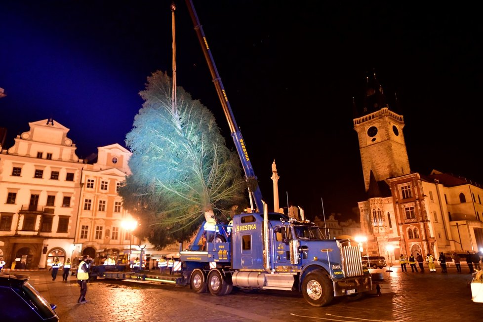 Vánoční strom na Staroměstském náměstí se vztyčil v úterý 24. listopadu 2020.